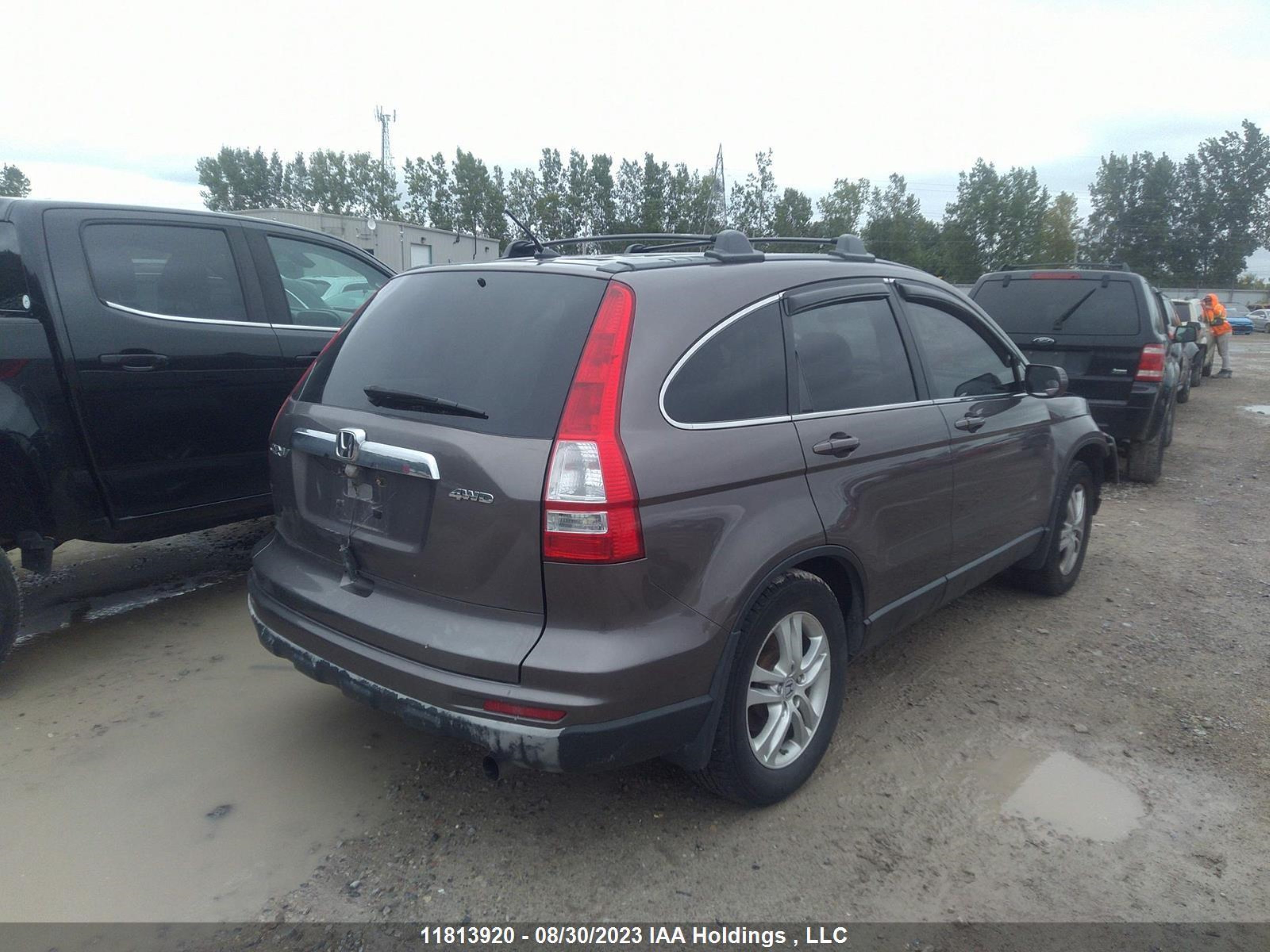 Photo 3 VIN: 5J6RE4H50BL801071 - HONDA CR-V 