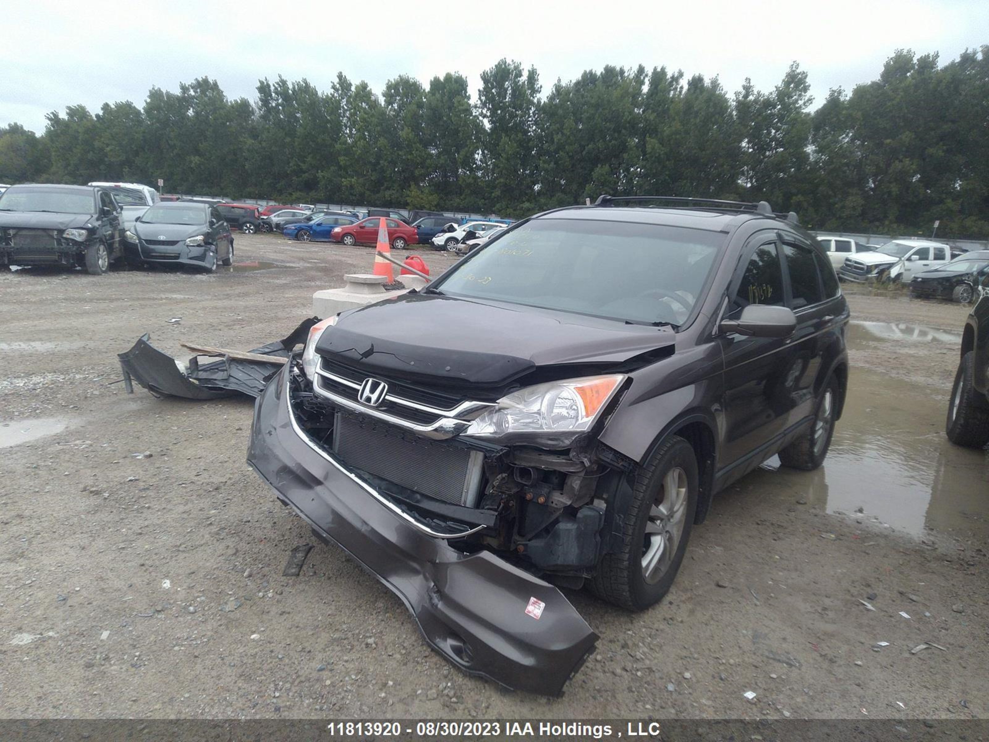 Photo 5 VIN: 5J6RE4H50BL801071 - HONDA CR-V 