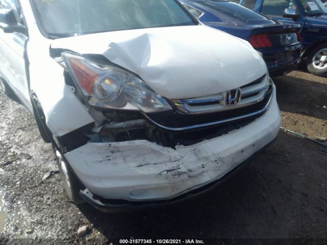 Photo 5 VIN: 5J6RE4H51AL091399 - HONDA CR-V 