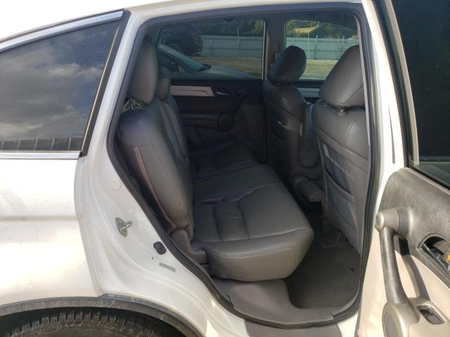 Photo 5 VIN: 5J6RE4H52AL065135 - HONDA CR-V EX 