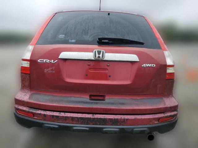 Photo 5 VIN: 5J6RE4H52AL091850 - HONDA CRV 