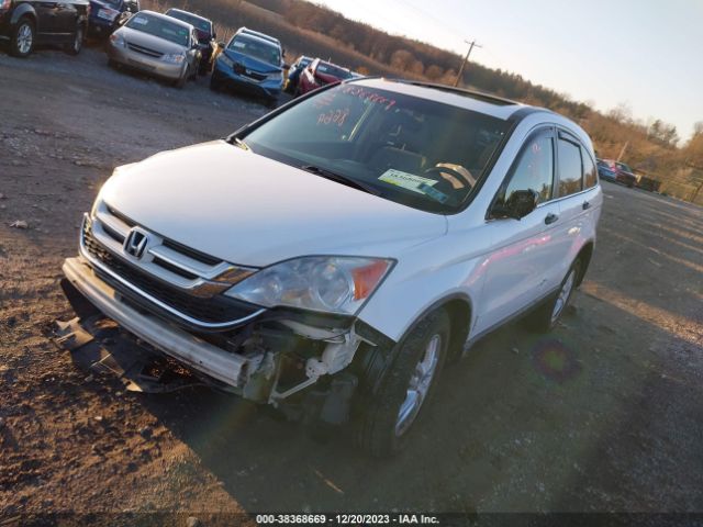 Photo 1 VIN: 5J6RE4H52BL029561 - HONDA CR-V 