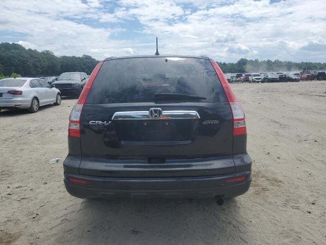 Photo 5 VIN: 5J6RE4H53AL019636 - HONDA CRV 