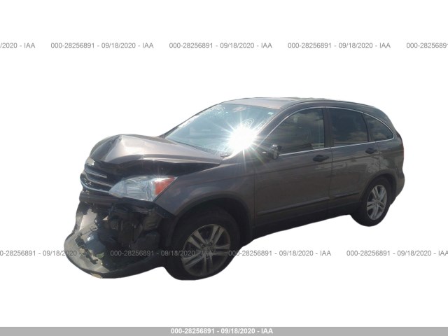 Photo 1 VIN: 5J6RE4H54AL036431 - HONDA CR-V 