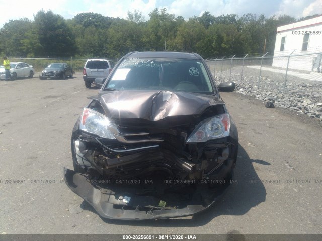 Photo 5 VIN: 5J6RE4H54AL036431 - HONDA CR-V 