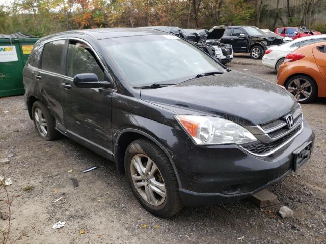 Photo 3 VIN: 5J6RE4H54AL800746 - HONDA CRV 