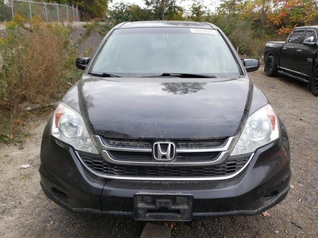 Photo 4 VIN: 5J6RE4H54AL800746 - HONDA CRV 