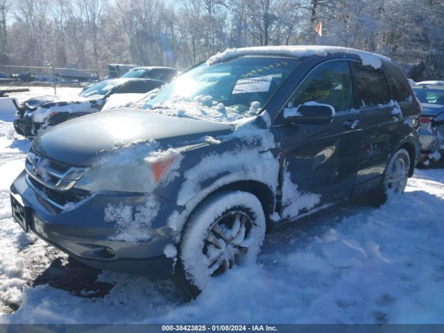 Photo 1 VIN: 5J6RE4H55AL008539 - HONDA CR-V 