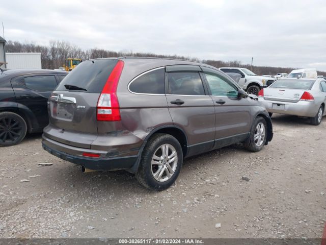 Photo 3 VIN: 5J6RE4H55AL086822 - HONDA CR-V 