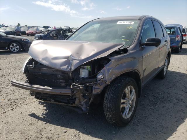 Photo 1 VIN: 5J6RE4H55BL030753 - HONDA CR-V EX 