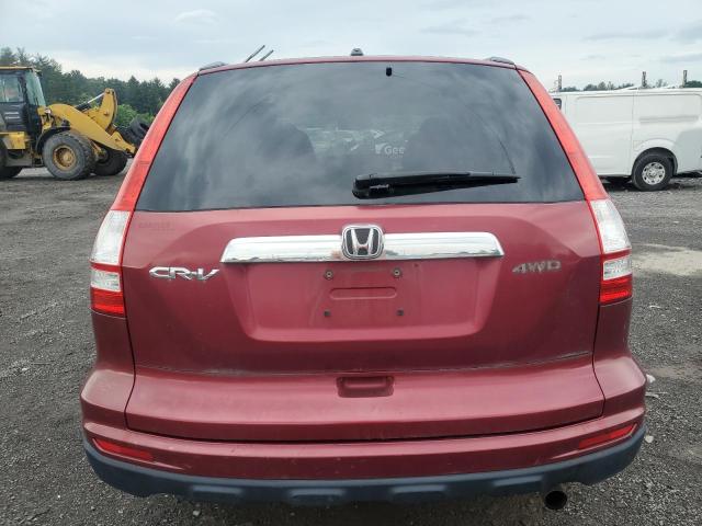 Photo 5 VIN: 5J6RE4H56AL004063 - HONDA CRV 