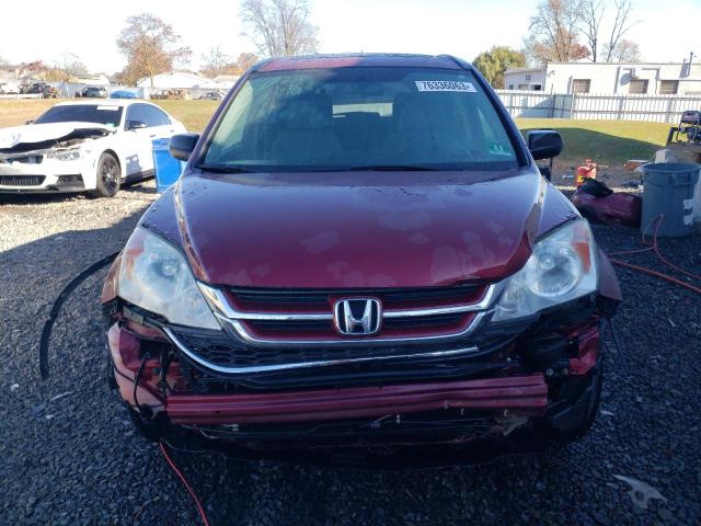 Photo 4 VIN: 5J6RE4H56AL020506 - HONDA CRV 