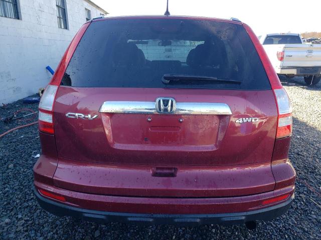 Photo 5 VIN: 5J6RE4H56AL020506 - HONDA CRV 