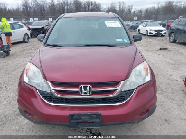 Photo 5 VIN: 5J6RE4H57AL020529 - HONDA CR-V 