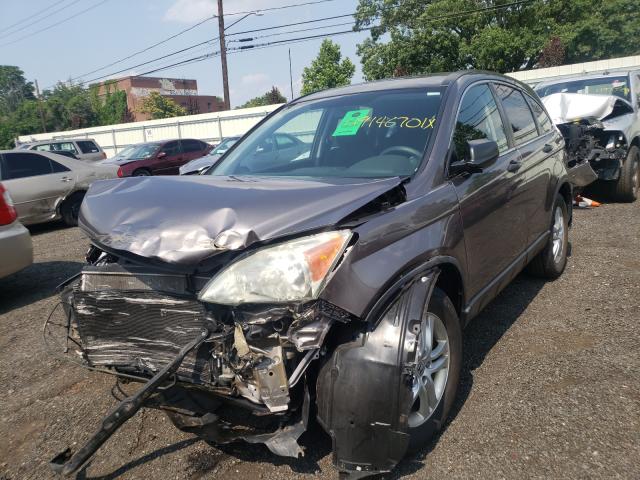 Photo 1 VIN: 5J6RE4H57AL092122 - HONDA CR-V EX 