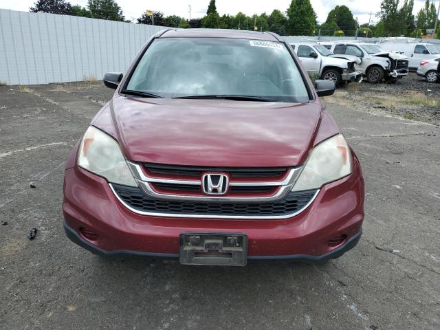 Photo 4 VIN: 5J6RE4H57BL121510 - HONDA CRV 