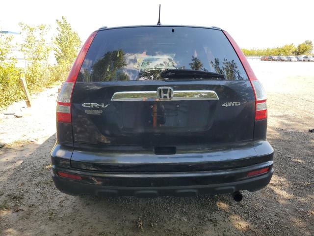 Photo 5 VIN: 5J6RE4H57BL812567 - HONDA CR-V EX 