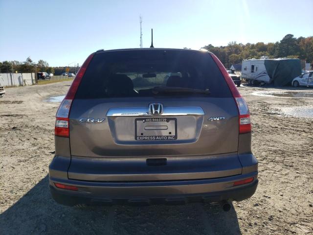 Photo 5 VIN: 5J6RE4H59AL078626 - HONDA CRV 