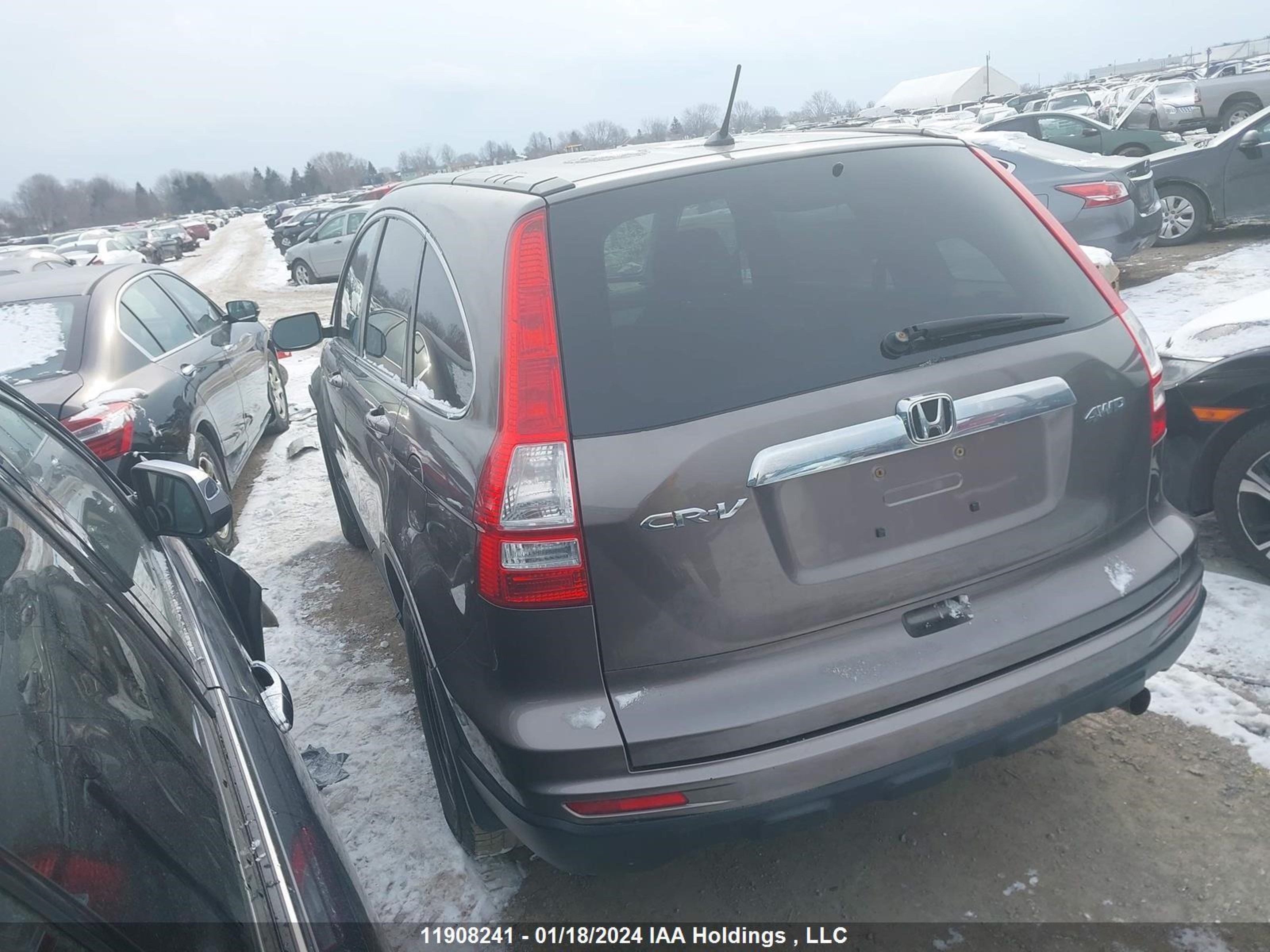 Photo 2 VIN: 5J6RE4H59BL821674 - HONDA CR-V 