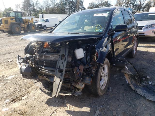 Photo 1 VIN: 5J6RE4H70AL024522 - HONDA CR-V EXL 