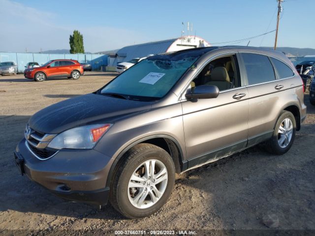 Photo 1 VIN: 5J6RE4H70AL048691 - HONDA CR-V 