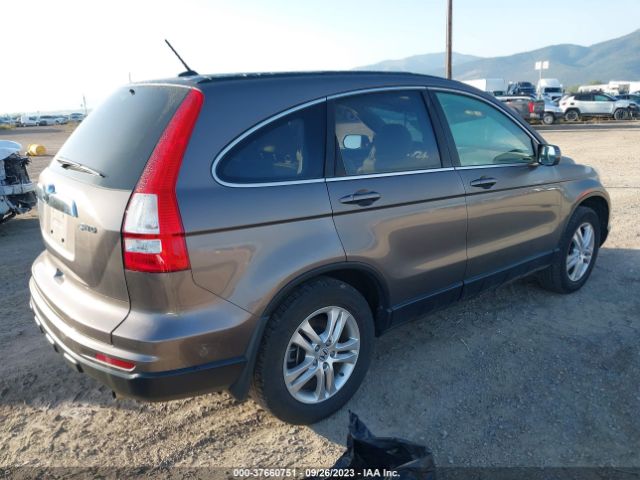 Photo 3 VIN: 5J6RE4H70AL048691 - HONDA CR-V 