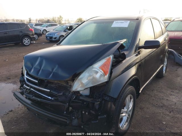 Photo 5 VIN: 5J6RE4H70AL062431 - HONDA CR-V 