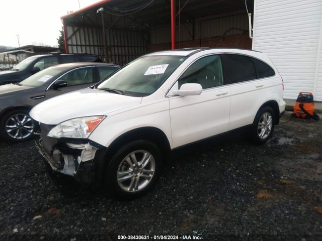 Photo 1 VIN: 5J6RE4H70AL097275 - HONDA CR-V 