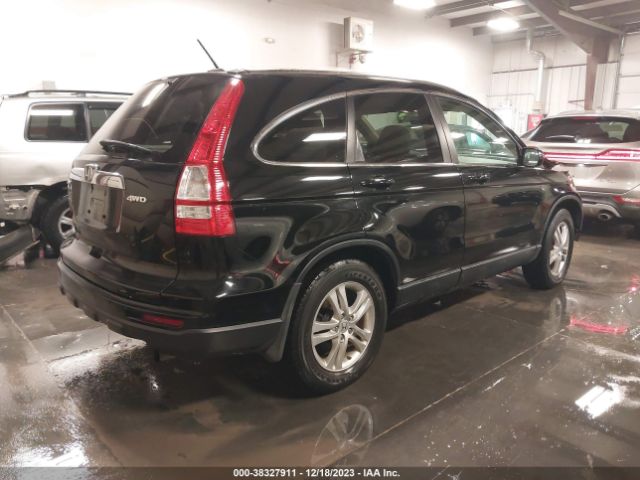 Photo 3 VIN: 5J6RE4H70AL099544 - HONDA CR-V 