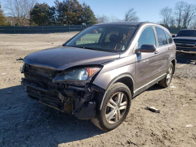 Photo 1 VIN: 5J6RE4H70BL052161 - HONDA CR-V EXL 