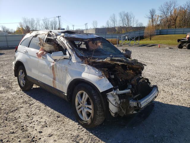 Photo 0 VIN: 5J6RE4H70BL077061 - HONDA CR-V EXL 