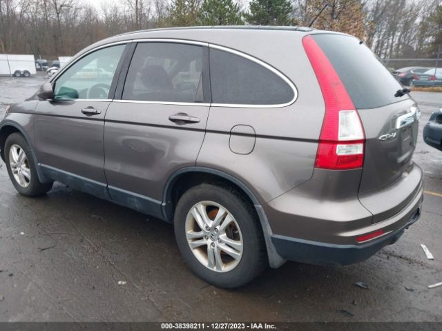 Photo 2 VIN: 5J6RE4H71AL071056 - HONDA CR-V 