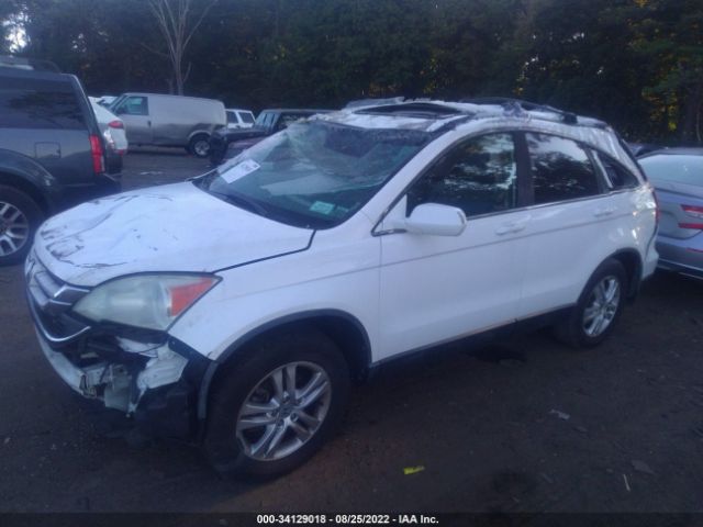 Photo 1 VIN: 5J6RE4H71AL098743 - HONDA CR-V 