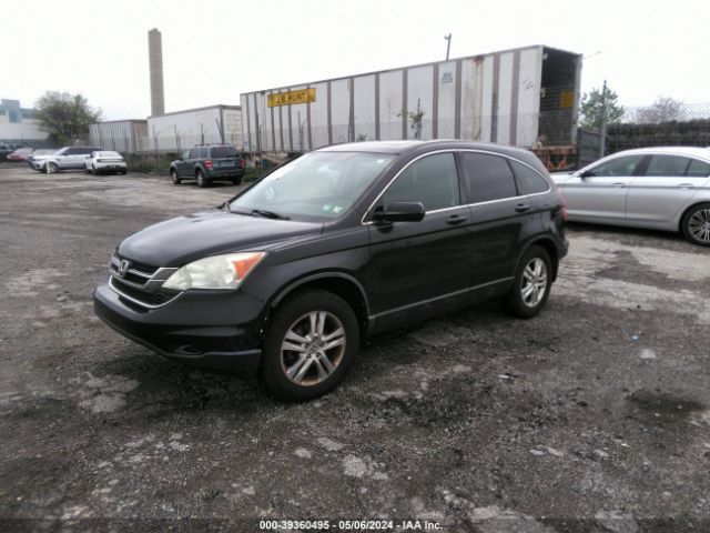 Photo 1 VIN: 5J6RE4H71BL058342 - HONDA CR-V 