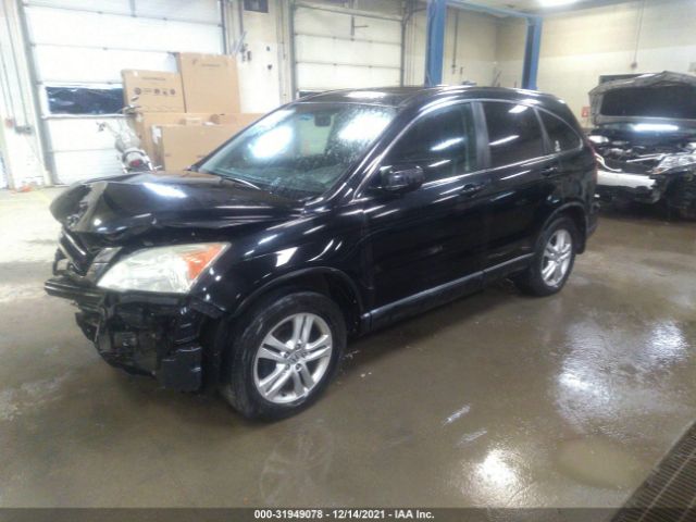 Photo 1 VIN: 5J6RE4H72AL031407 - HONDA CR-V 