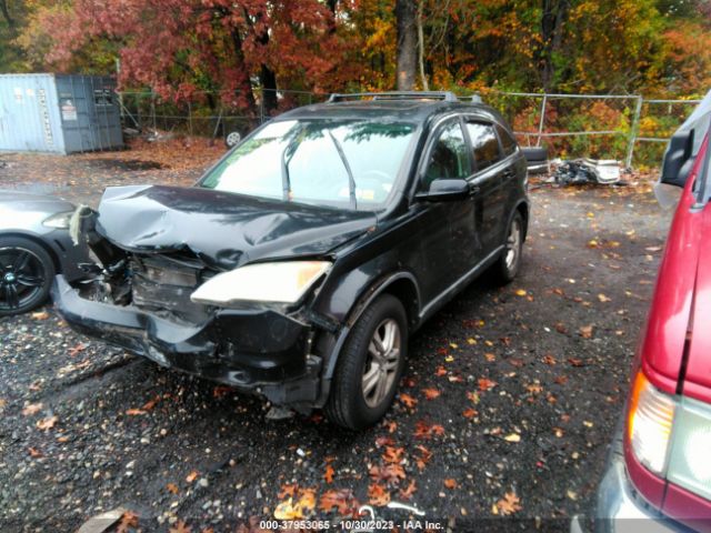 Photo 1 VIN: 5J6RE4H73AL016530 - HONDA CR-V 