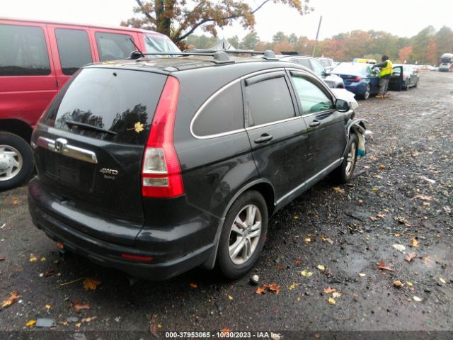 Photo 3 VIN: 5J6RE4H73AL016530 - HONDA CR-V 