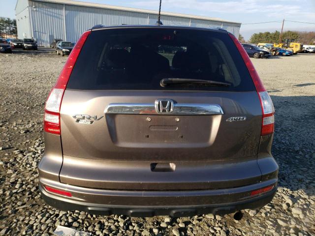 Photo 5 VIN: 5J6RE4H73AL060012 - HONDA CRV 