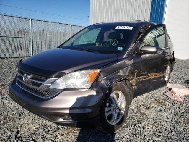 Photo 1 VIN: 5J6RE4H73BL824863 - HONDA CR-V EXL 