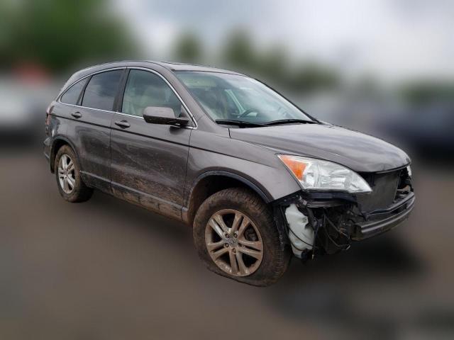 Photo 3 VIN: 5J6RE4H74AL097215 - HONDA CRV 