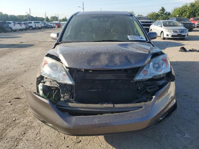 Photo 4 VIN: 5J6RE4H75AL007800 - HONDA CR-V EXL 