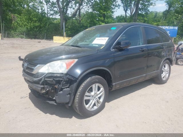 Photo 1 VIN: 5J6RE4H75BL022704 - HONDA CR-V 