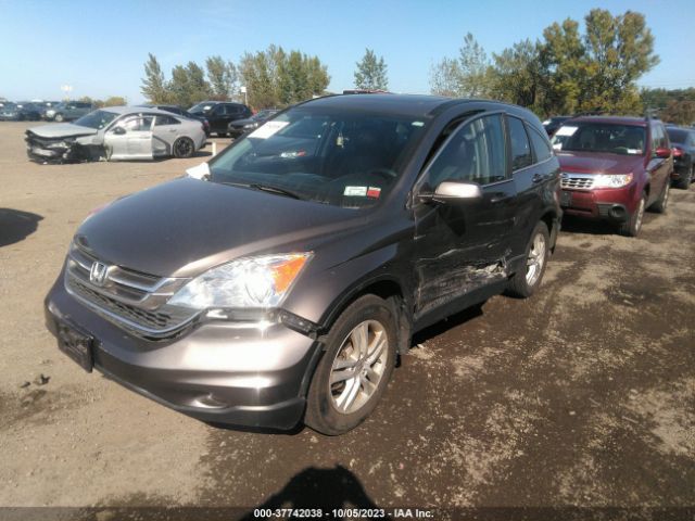 Photo 1 VIN: 5J6RE4H76AL023066 - HONDA CR-V 