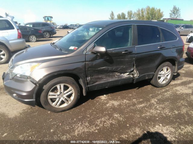 Photo 5 VIN: 5J6RE4H76AL023066 - HONDA CR-V 