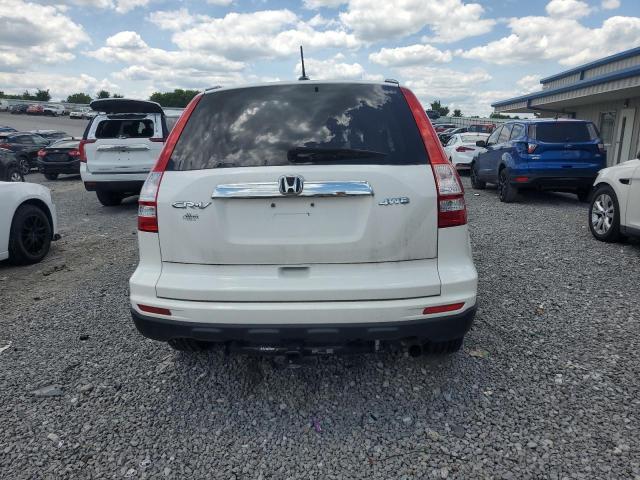 Photo 5 VIN: 5J6RE4H76AL039056 - HONDA CRV 