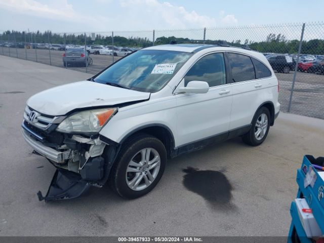 Photo 1 VIN: 5J6RE4H76AL101717 - HONDA CR-V 