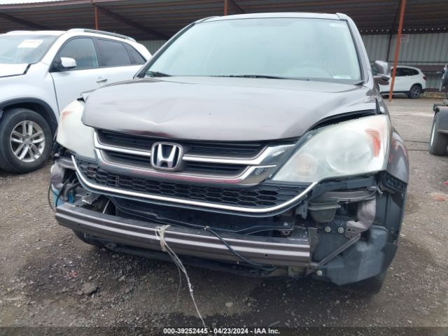 Photo 5 VIN: 5J6RE4H76BL028740 - HONDA CR-V 