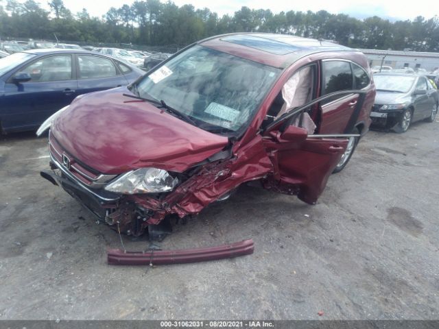 Photo 1 VIN: 5J6RE4H77AL010083 - HONDA CR-V 