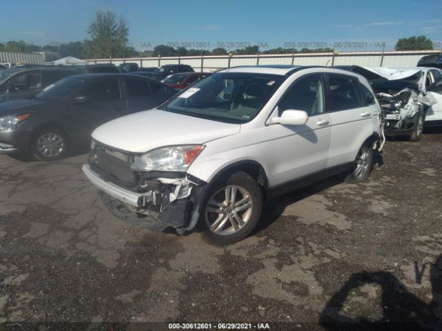 Photo 1 VIN: 5J6RE4H77AL025179 - HONDA CR-V 