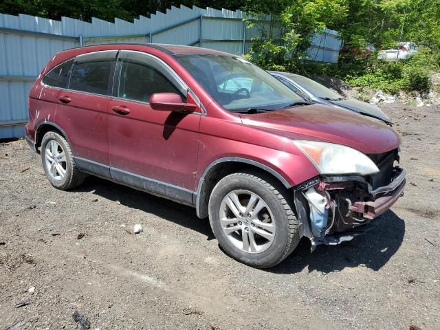 Photo 3 VIN: 5J6RE4H77AL039406 - HONDA CRV 